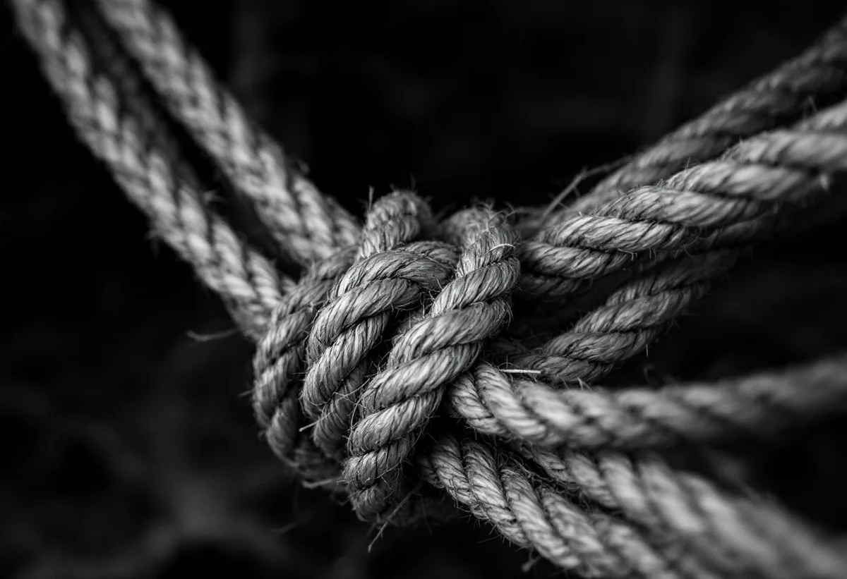 Fostering Team Synergy, Overcoming Dysfunctions, and Building Strong Teams