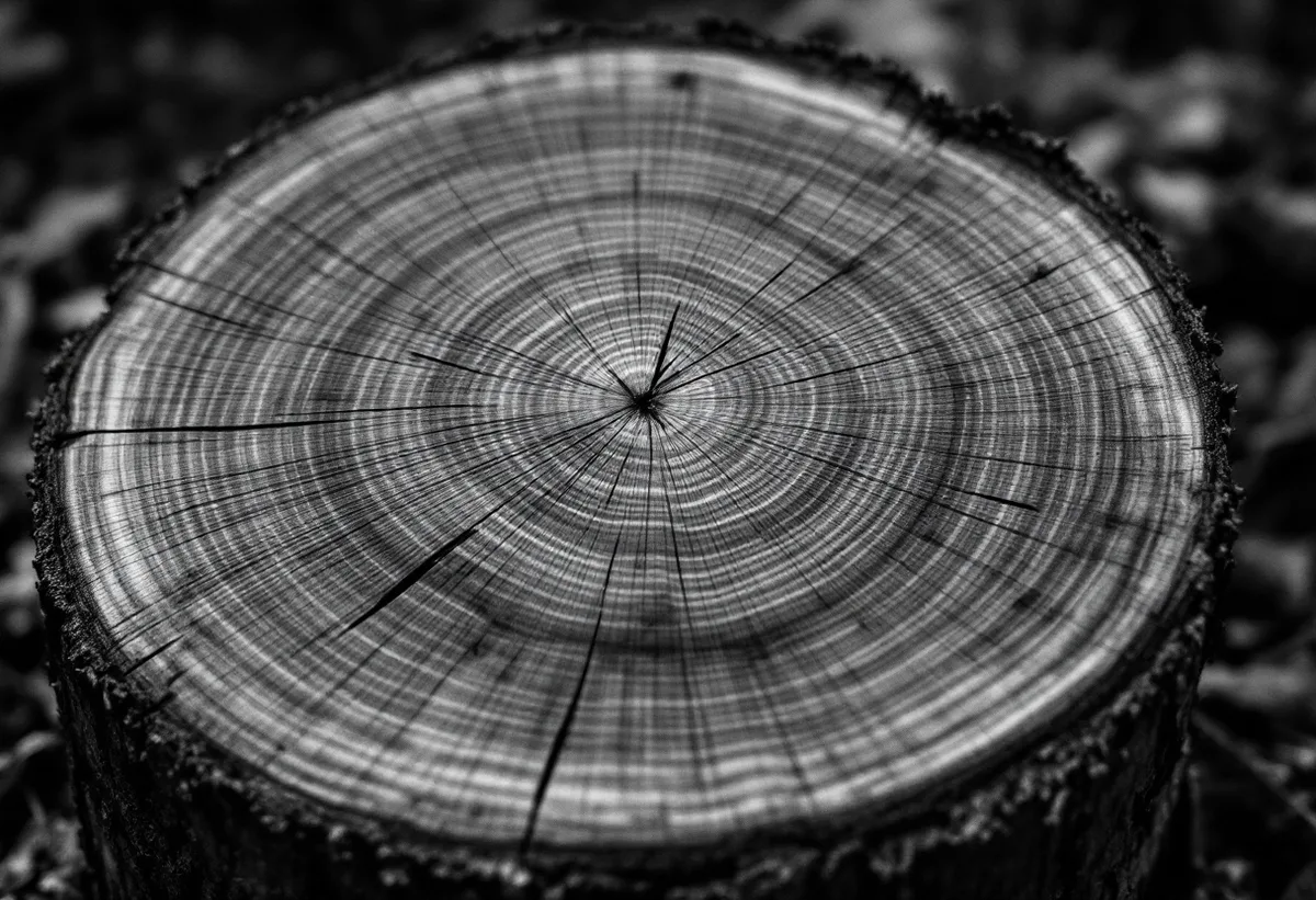 Organisational Culture – The Overlooked Key to Success with New Ways of Working