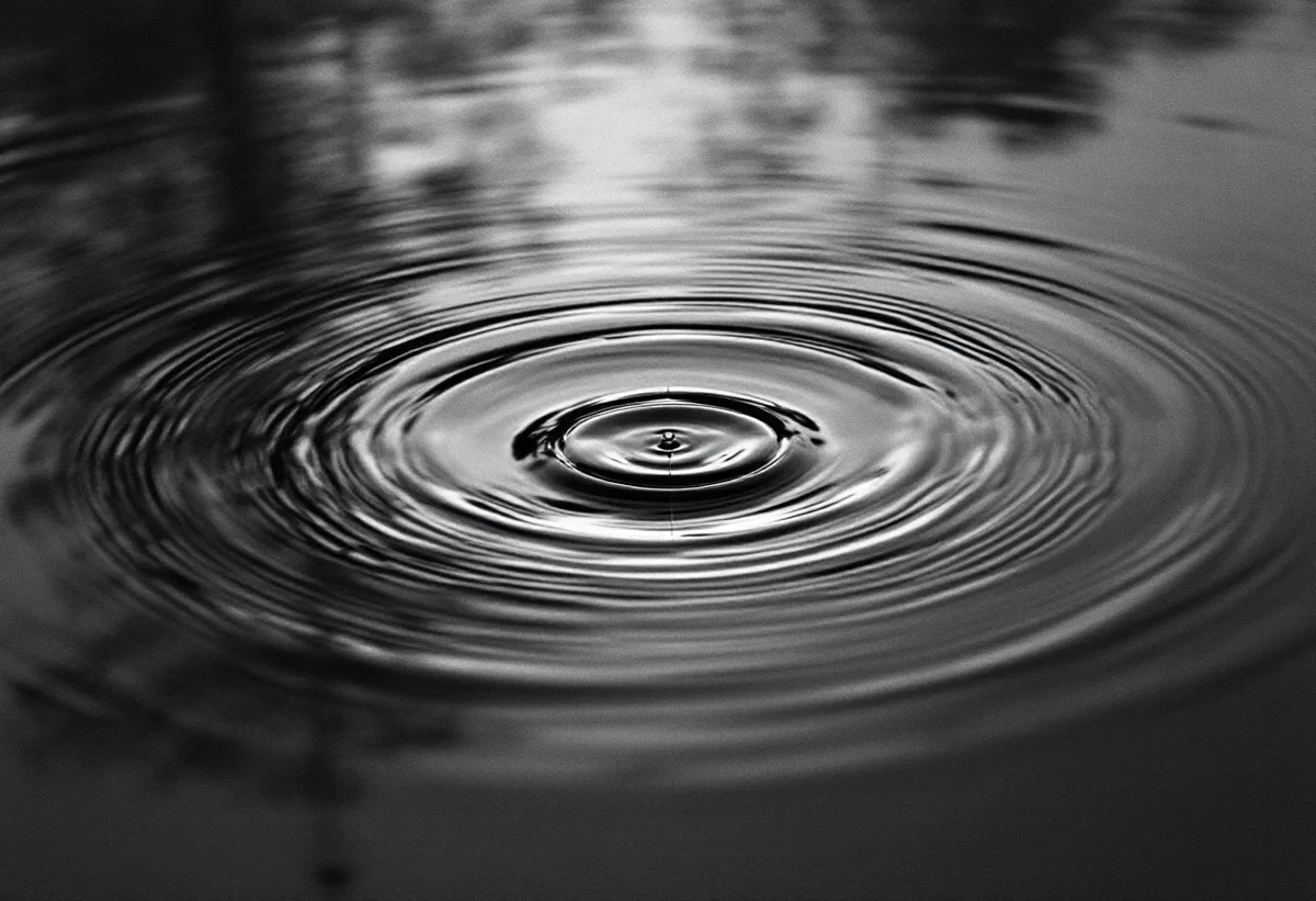 The Power of Systemic Coaching in Change Management